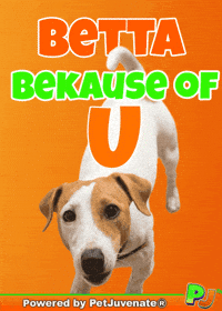 Dog Talk GIF by PetJuvenate - PJ