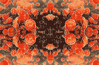Nachtschimmenwebsite GIF by NACHTSCHIMMEN Music-Theatre-Language NIGHTSHADES