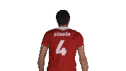 tvforgtr volleyball voleybol tvf eurovolley Sticker