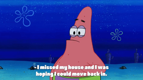 season 9 episode 21 GIF by SpongeBob SquarePants