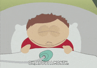 eric cartman GIF by South Park 