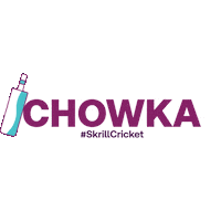 T20 Cricket Sticker by Skrill