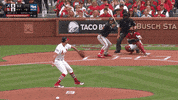 Jomboy  GIF