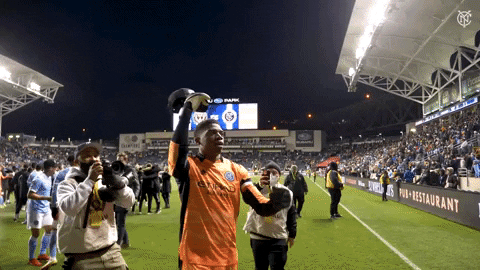 Happy Major League Soccer GIF by NYCFC