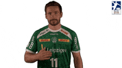 Handball-Bundesliga Sport GIF by LIQUI MOLY HBL