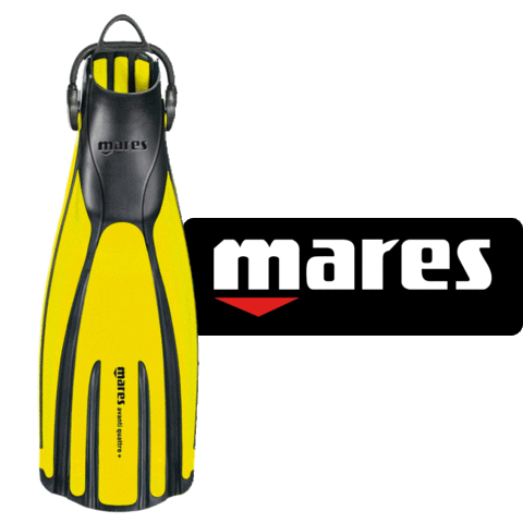 Dive Diving Sticker by MARES Brasil