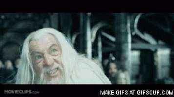 theoden GIF