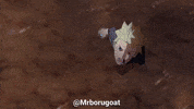 Naruto Shippuden Final Valley GIF