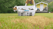 dog puppies GIF