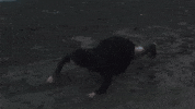 Crawling Running Away GIF by Mitski
