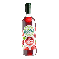 ShloerBGRocks apple strawberry cherry squash Sticker