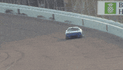Stock Car Racing Celebration GIF by NASCAR