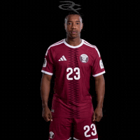 Fifa World Cup Qatar GIF by Respective