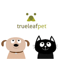 true hemp love Sticker by True Leaf Pet