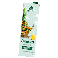vandeboomsapmakers juice pineapple sap ananas Sticker
