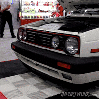 Golf Rabbit GIF by ImportWorx