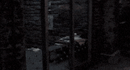 hannibal lecter horror GIF by Coolidge Corner Theatre