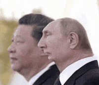 Vladimir Putin Instagram GIF