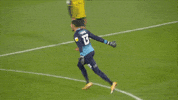 Happy Queens Park Rangers GIF by QPR FC