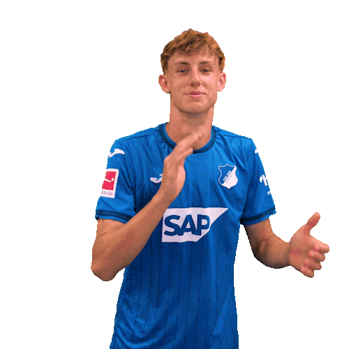 Sport Bundesliga Sticker by TSG Hoffenheim