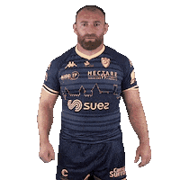 Pro D2 Rugby Sticker by US Carcassonne