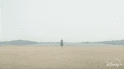Star Wars Disney Plus GIF by Disney+