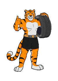 Muchomacho Sticker by Cosmo Tires