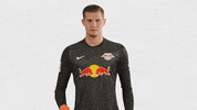 The Wall No GIF by RB Leipzig