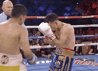 toprank fight fighting espn fighters GIF