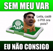 Santos Corinthians GIF