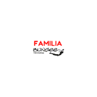 Fitness Workout Sticker by BUNGEE TRAINING ARGENTINA