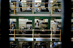 prison break GIF