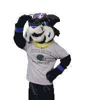 Thunder Bobcats Sticker by Georgia College