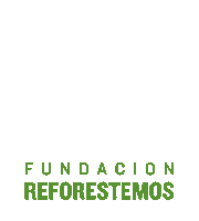 reforestemos reforestemos fundacion reforestemos logo reforestemos Sticker