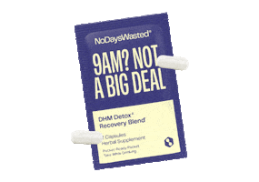 nodayswasted sunday recovery hangover biz Sticker