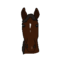 Horse Breathe Sticker by bitopEQUI
