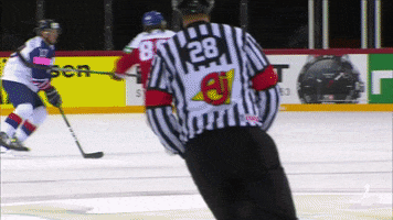 GIF by International Ice Hockey Federation
