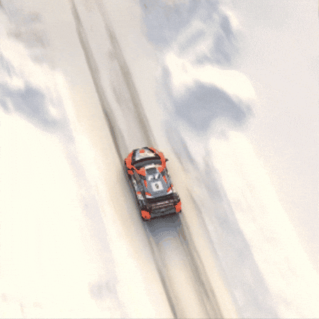 Rallying Fast Car GIF by FIA World Rally Championship