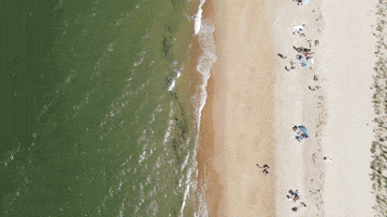 Asir GIF by Atlantic Sotheby's International Realty