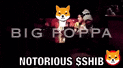 Shib Coin GIF by SHIB MEMES