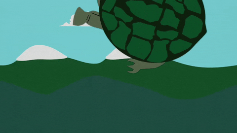 turtle flying GIF by South Park 