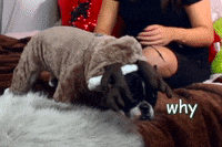 alyciamarie alyciamarie alycia marie allygif littleromy GIF