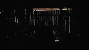 klypa accepted klypa kjell kjellen GIF