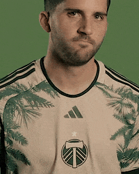 Mls Portland GIF by Timbers