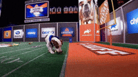 Touchdown