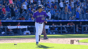 Major League Baseball Sport GIF by MLB