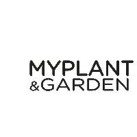 plants piante Sticker by MYPLANT & GARDEN
