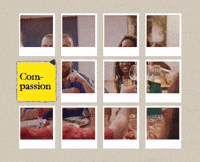 Friends Love GIF by All Better