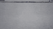 NevadaWolfPack swim dive wolfpack nevada GIF