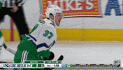 Happy Andrei Svechnikov GIF by NHL